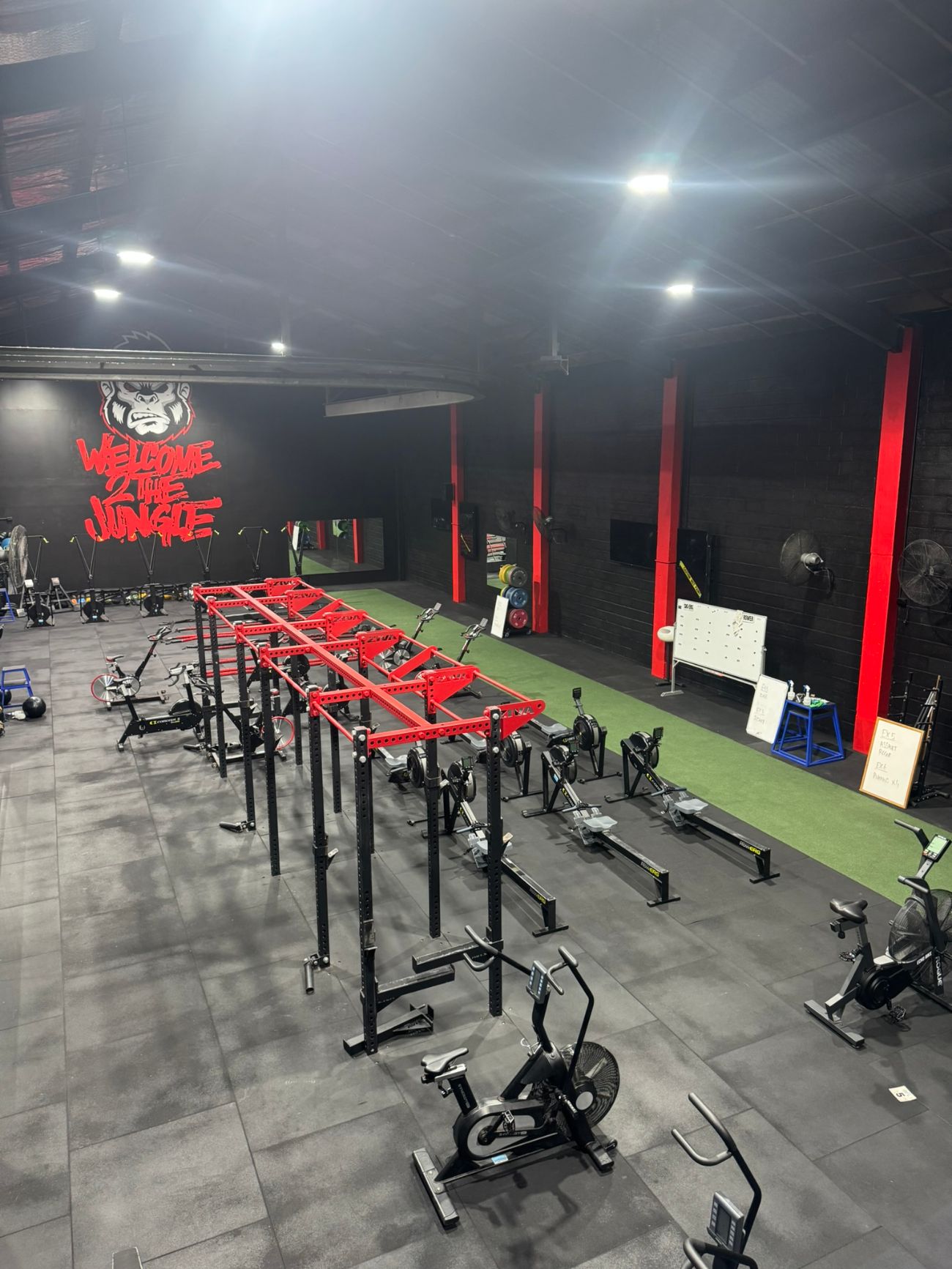 The Jungle gym repaint